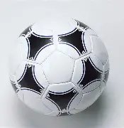 张本美和,冠军赛首战,告捷,安博体育平台,安博体育官方网站,安博体育登录入口,安博体育app下载