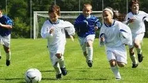 安博体育 产品 084251 hxn