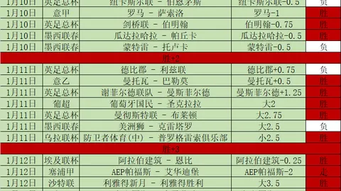 郑钦文专访：虽受伤病影响，失利主因乃临场表现欠佳——央视新闻客户端